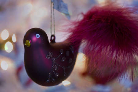 Christmas Bird Ornament Hanging with Bokeh