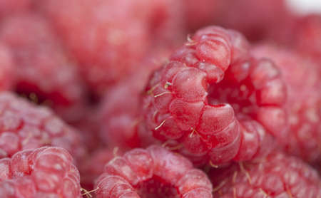 Red Raspberries Up Close