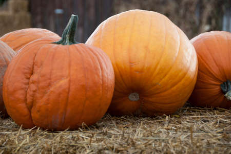 Pumpkins