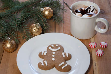 Mug of Hot Chocolate with marshmallows and chocolate drizzle with Peppermint Round Candies, a Plate...