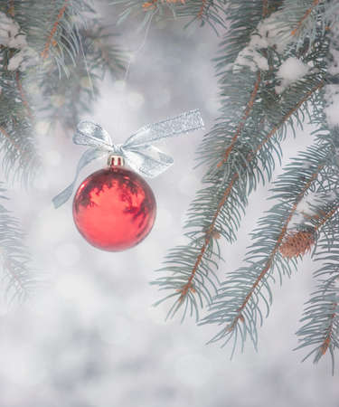 Red Ornament with Silver Bow Hanging from A Snow-Covered Pine Tree Outdoorsの写真素材