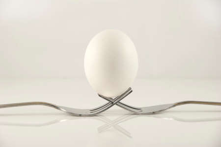 Egg Balanced on Two Forks with White Background