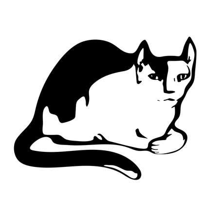 White and black silhouette of a cat on white background. Vector isolated.のイラスト素材