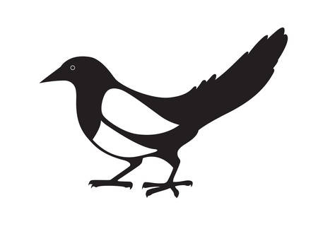 Magpie. Black and white image on white background. Vector isolated.のイラスト素材