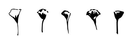 Set of simple flowers. Vector image painted by ink. Hand drawn stylized illustration for print.のイラスト素材