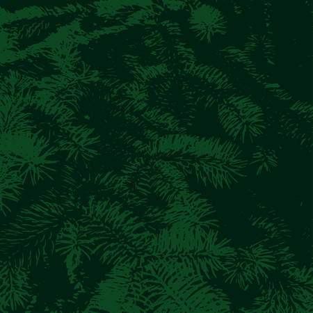 Vector background from green fir tree branch. Found for xmas card or banner.のイラスト素材
