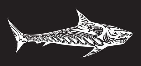 Decorative stylized predator fish. White silhouette of shark on black background. Vector illustration for emblem or logo.のイラスト素材