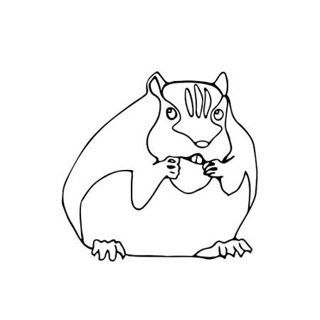 Eating hamster. Animal vector illustration. Doodle stylized image. Sketch style. Black image on white background.のイラスト素材