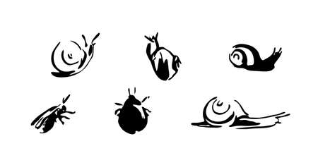 Snails and beetles set. Vector brush ink painting animal illustration. Black isolated vector on white background.のイラスト素材