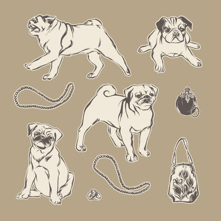 Pugs and vintage fashion accessories. Hand drawn vector sketch pets set.のイラスト素材