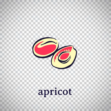 Hand drawn stylized apricot. Vector fruit isolated on transparent background. Graphic illustration for logo or icon.のイラスト素材