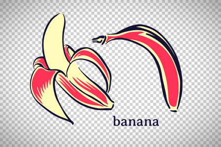 Hand drawn stylized banana. Vector fruit isolated on transparent background. Graphic illustration for logo or icon.のイラスト素材