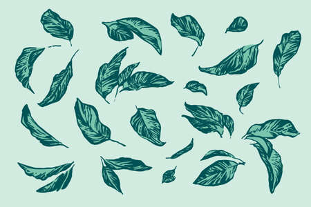 Vintage hand drawing apple tree leaf set. Vector foliage on blue background. Graphic grunge ink drawn illustration.のイラスト素材