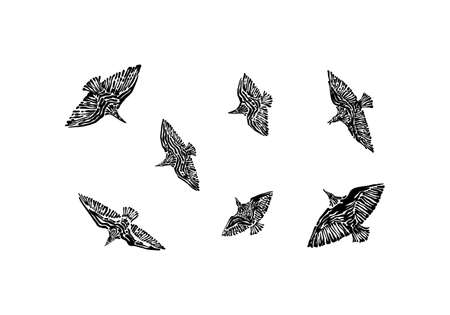 Hand drawn flying wild birds set drawn by ink. Decorative vector illustration. Sketch style black isolated on white background.のイラスト素材
