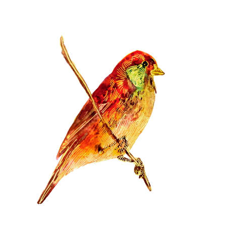 Wild bird sitting on a branch. Red and green hand painted watercolor. Vintage colorful illustration isolated on white background.の写真素材