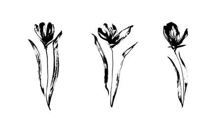 Set of three hand drawn flowers with leaves. Black isolated sketch botanical vector illustration on white background. Floral brush ink painting collection.のイラスト素材