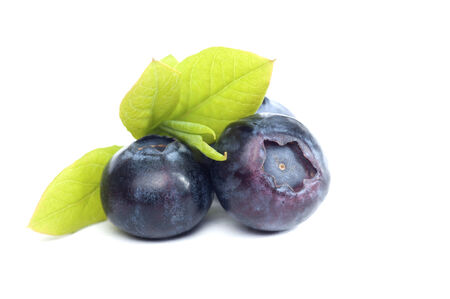 Blueberriesの写真素材