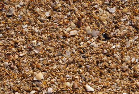 Beach Sand Backgroundの写真素材