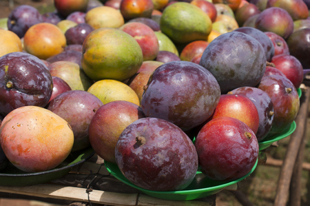 Mangoes for sale at a market stallの写真素材