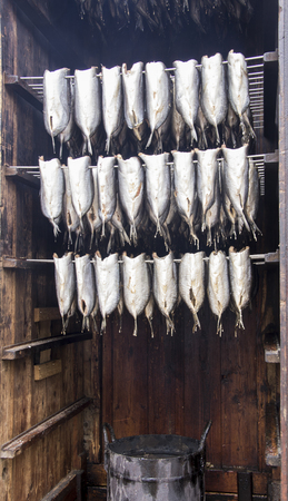 smoking room with bio herrings fishes France Normandyの写真素材