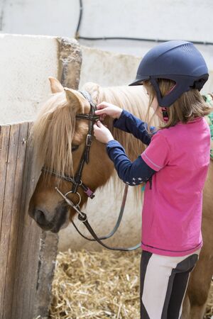 pretty young teenage girl preparing taking care horse poneyの写真素材