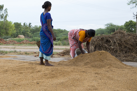 Documetary Editorial. Pondicherry country, India - June 15 2014. Gipsy camp early in the morning. Just get up, working, family closed together, poor workers without house, family way of lifeのeditorial素材