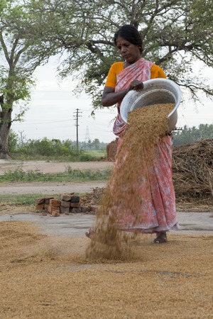 Documetary Editorial. Pondicherry country, India - June 15 2014. Gipsy camp early in the morning. Just get up, working, family closed together, poor workers without house, family way of lifeのeditorial素材