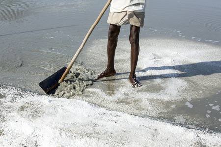 Documentary image editorial. Pondicherry, Tamil Nadu, India - July 05 2014. Poor workers picking up,...