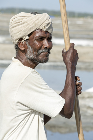 Documentary image editorial. Pondicherry, Tamil Nadu, India - July 05 2014. Poor workers picking up, collecting the sald, in big field, manual labour, organic agriculture, very hard jobのeditorial素材