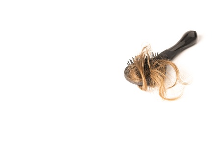 Close-up of hair loss, long hair, alopecia on white background with brush, comb nobodyの写真素材