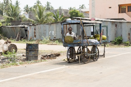 Illustrative image. Pondicgery, Tamil Nadu, India - Marsh 03, 2014. Shop of fruits and vegetables, itinerant trade small merchantのeditorial素材
