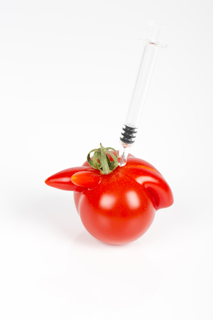 Tomatoes with deformation and defects, with syringe. Chemical treatment for rapid maturation in tomatoes. Strange forms grown mutated tomatoes. Front and top view.の写真素材