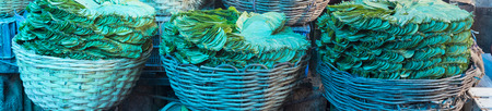 Betel leaf stack in an Indian market. Prepared with some more ingredients inside, betel leafs are used as local desserts. People also get addicted to it.の写真素材