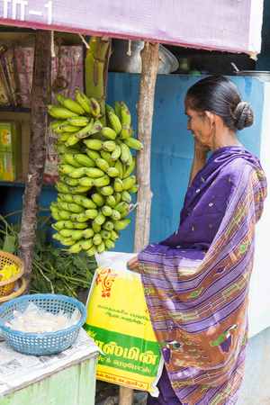 PONDICHERY, PUDUCHERRY, TAMIL NADU, INDIA - SEPTEMBER CIRCA, 2017. An unidentified Indian lady woman in saree buying bananas on a market close to Pondicherryのeditorial素材
