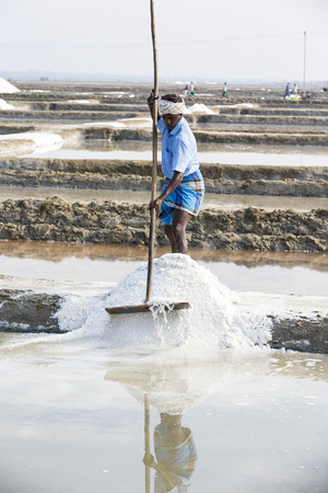 PONDICHERY, PUDUCHERRY, TAMIL NADU, INDIA - MARCH CIRCA, 2018. Unidentified men workers picking up, collecting the salt, in big salt fields, manual labour, organic agriculture, very hard jobのeditorial素材