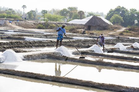 PONDICHERY, PUDUCHERRY, TAMIL NADU, INDIA - MARCH CIRCA, 2018. Unidentified men workers picking up, collecting the salt, in big salt fields, manual labour, organic agriculture, very hard jobのeditorial素材