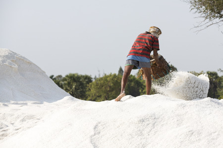 Worker carrying wooden baskets full of salt on the head and walking on salt field to the store.の写真素材
