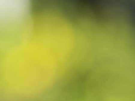 Abstract green nature blurred background with bright sunlight, flare bokeh effect, gradient backdrop...