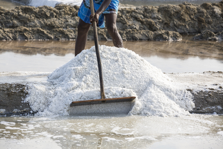 Close-up Unidentified man workers picking up, collecting the salt, in big salt fields.の写真素材