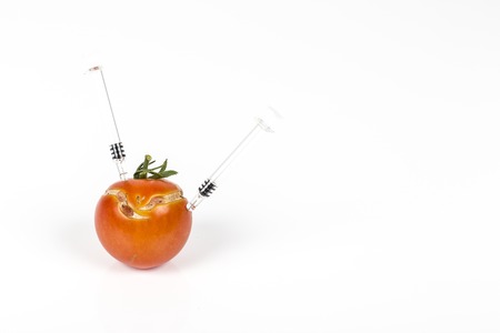 Split, cracked tomatoe due to rain after drought, Gardening problem. With syringe. Concept non organic food, genetically modified organism. On white background. Place to writeの写真素材