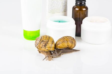 Cosmetics organic made with slaver of snail, very good for skin and health and fashion in Europe. Pot of cream, gel, shampoo, with green leaf and snail around or on the products. Lifestyle beauty treatmentの写真素材
