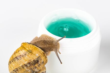 Cosmetics organic made with slaver of snail, very good for skin and health and fashion in Europe. Pot of cream, gel, shampoo, with green leaf and snail around or on the products. Lifestyle beauty treatmentの写真素材
