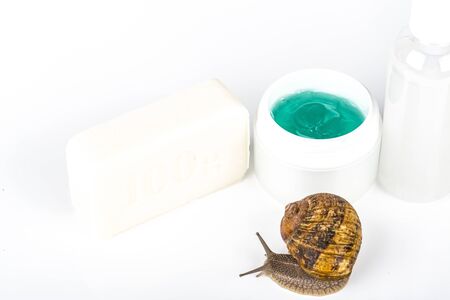 Cosmetics organic made with slaver of snail, very good for skin and health and fashion in Europe....