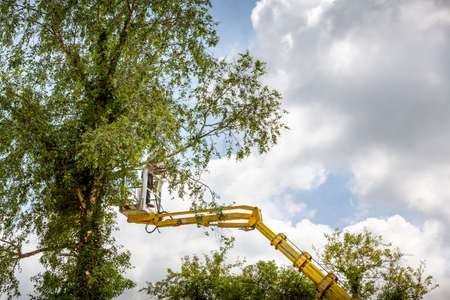 Arborist man in the air, cloudy sky, on yellow elevator, basket with controls, cutting off dead...