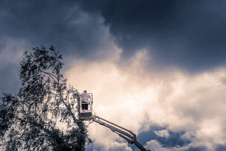 Arborist man in the air, cloudy stormy sky, on yellow elevator, basket with controls, cutting off...
