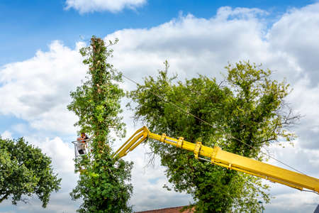 Two arborist men in the air, cloudy sky, on yellow elevator, basket with controls, cutting off dead...