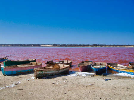 SENEGAL, AFRICA - MARSCH Circa, 2016. Unidentified Black african man and woman at Pink lake in Senegal, where farmer come to take out the salt from the sea. Very hard job. Vibrant colorsのeditorial素材