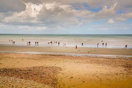 QUINEVILLE, FRANCE - SEPTEMBER Circa, 2020. In Manche sea, unidentified people out digging for razor...