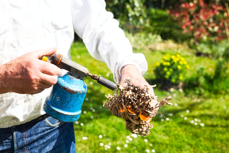 Hands of beekeeper in protective clothing switching on the smoker with lighter and paperboard while...