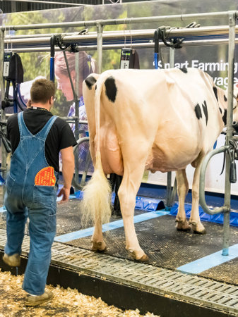 PARIS, FRANCE - MARCH Circa, 2020. Milking parlor robotics at the International Agriculture Meeting at Paris, France. Using by farmers, to milk cows before or after competition. Modernization of agriculture farmers conceptのeditorial素材